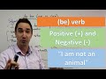 Negative Forms and Contractions in English