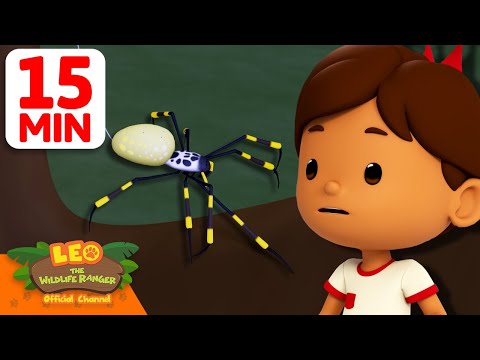 A Golden Spider Crawled into My Room! 🕸️🕷️ | 15 Min | Leo the Wildlife Ranger | #animals