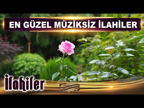 Yalvar ağlaya ağlaya Şefaat Ya Rasul / En Güzel Müziksiz İlahiler / Ağlatan İlahiler Kanalı