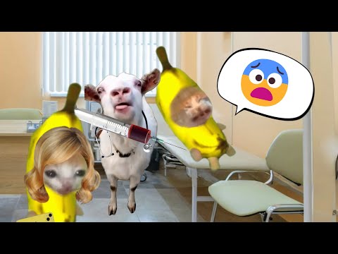 Banana Cat is Scared of Injections😹🍌[FULL EPISODE]