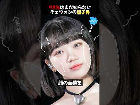 ルセラフィムチェウォンが団子鼻に合ったスタイリングを？