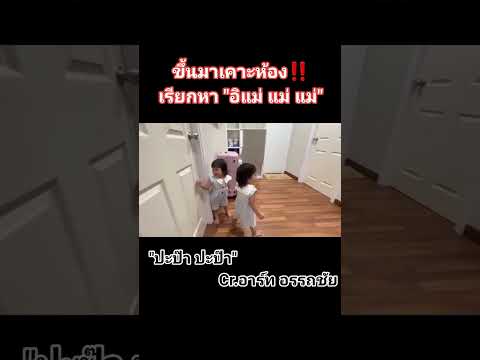 สงสัยจะคิดถึงพ่อกับแม่แล้วสองสาว #เพชรพลอย #ลูกของแอนบอย #ขออนุญาตเจ้าของคลิปด้วยนะค่ะ