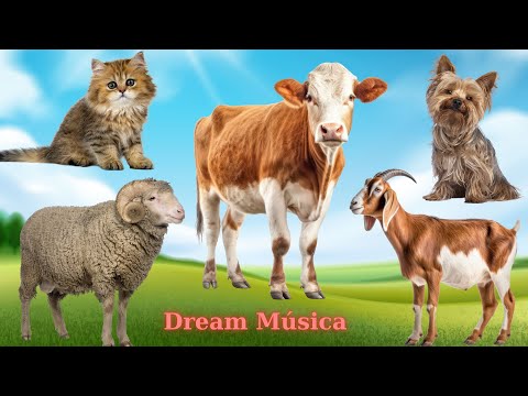 Farm & Wild Animal Sounds: Cat, Dog, Cow, Goat, Sheep, Chicken - Animal Videos