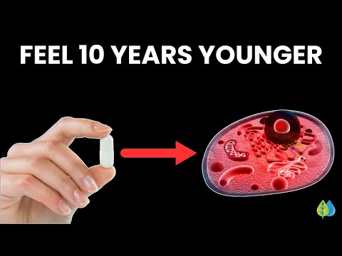 10 Nutrients to Fix Your Mitochondria & Feel 10 Years Younger