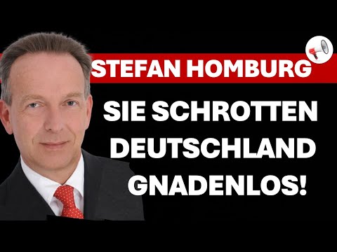 Prof. Dr. Stefan Homburg im Interview | Wird Deutschland gezielt zerstört?
