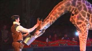 A Magyar Nemzeti Cirkusz mesés birodalma