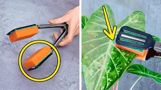 Ubah Rumah Anda Menjadi Oase Hijau 🌱 Tips Terbaik untuk Berkebun di Rumah 🏡