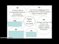 Rights of the Accused in Amendments
