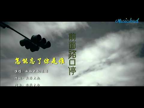 怎能忘了你是誰 (對唱版) 陳瑞&秋裤大叔-演唱 KARAOKE
