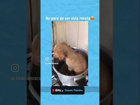 Receta viral !!! ๐๐๐