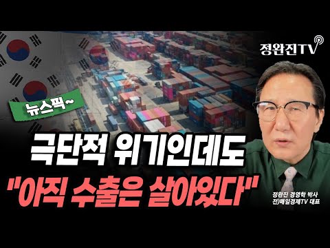 [뉴스픽] 극단적 위기인데도..."아직 수출은 살아있다"