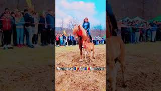 #remix #music #love #song #horse #caigrei #cal @PromovariCaiRomania '#horse #horses