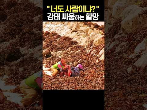 너도 사람이냐? / 제주 해녀
