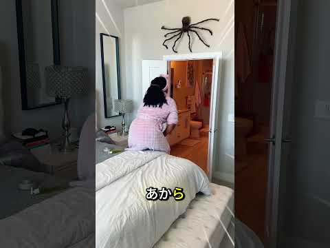 このクモは家から離れないんです！🕷️🏠