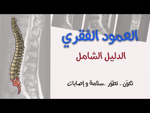 العمود الفقري - الدليل الشامل - إقرأ الصور الشعاعية