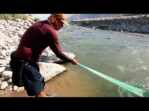 Pescador Experto Lanza Su Atarraya y Saca Grandes Camarones del Río