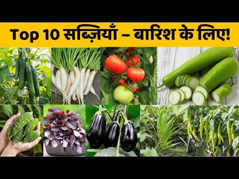 बारिश में लगाने के लिए टॉप 10 सब्ज़ियाँ | Top 10 Rainy Season Vegetables In India | Monsoon Veggies