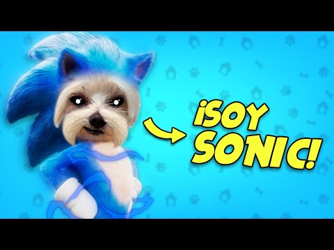 ¡Perrita Dasha se Convierte en SONIC en la Vida Real! Vídeos de Perros