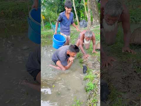 What is #viralreels #shorts #shortvideo