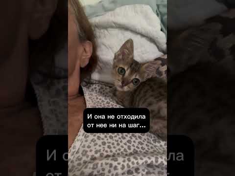 Прощай, мама. Спасибо тебе за жизнь.