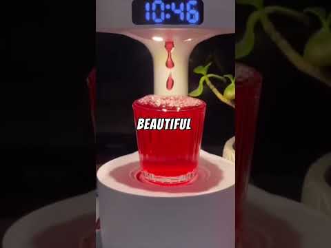 He gave his daughter the best present possible!
