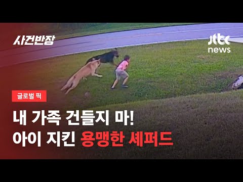 아이 향해 달려든 이웃집 개…'반려견 셰퍼드'가 한 행동 / JTBC 사건반장