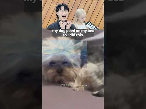 웃음참기 챌린지 277 🎶 #funny #shorts #viralvideo