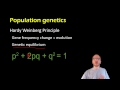 Hardy-Weinberg Equilibrium Concepts