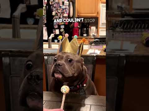 Happy Birthday Ace!!