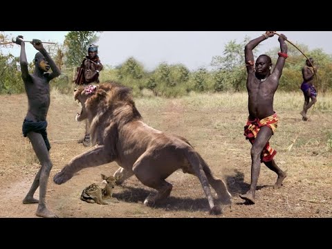 जानवरों के ऐसे कारनामे  देखने के लिए नसीब लगता है | Animals Helps Other Animals