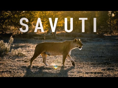 Unbelievable Botswana Safari in Chobe National Park (Savuti)