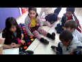 Life Cycle of Mealworms and Frogs
