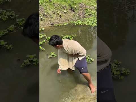 কোকা কোলার বোতল সাতদিন পানির ভিতরে ডুবিয়ে রাখালে কি হবে  #new #vlog #minivlog #challenge #ytshorts