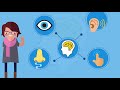 Memory Processing and Sensory Perception