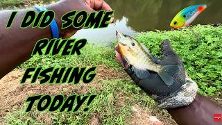 The Bluegill & Bream were biting well today!