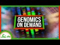 Advancements in Genetic Sequencing
