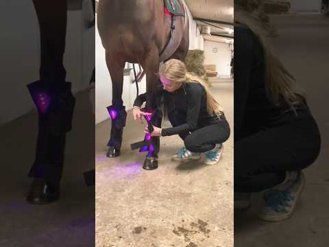 Very Useful Gadget for Horse😳|#shorts