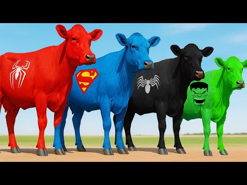 الرجل العنكبوت انقاذ باتمان Spider-Man Rescue batman vs iron man vs venom funny Game GTA 5 superhero