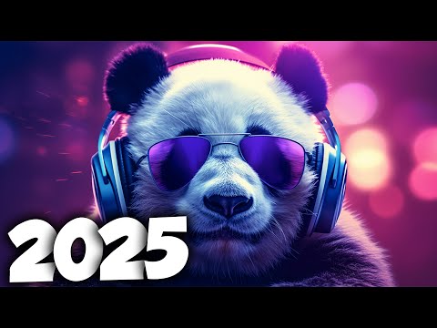 AS MELHORES MÚSICAS ELETRÔNICAS DE 2025 ⚡️ MÚSICAS ELETRÔNICAS ⚡️ NA BALADA ⚡️ALOK, DAVID GUETTA MIX