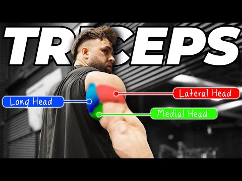 The BEST Exercises For Bigger Triceps