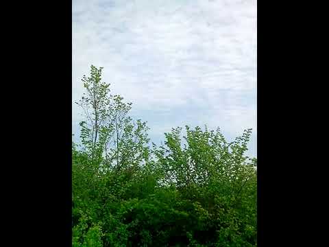 Видео на имота