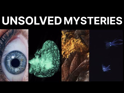 Unsolved mysteries