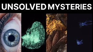 Unsolved mysteries