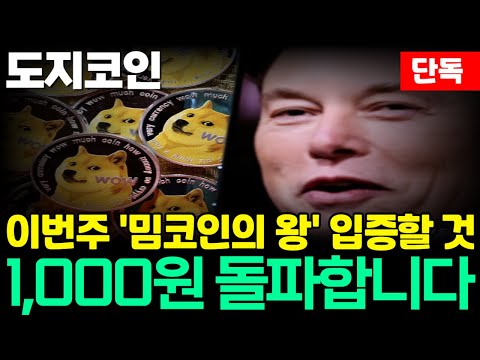 [도지코인 DOGE] 이번주 '밈코인의 왕' 입증할 것!  1,000원 돌파합니다!