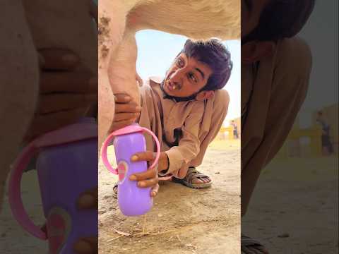 Bony admi ne aisa q kiya #ytshorts #viralvideo #trending #shortfeed #foryou