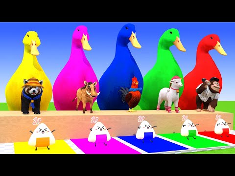 5 Giant Duck Cartoon, Cow, Mammoth, Elephant, Lion, Paint Wild Animals Crossing Fountain Animation