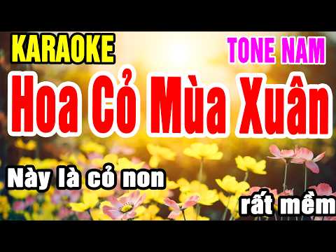 Karaoke Hoa Cỏ Mùa Xuân Tone Nam Nhạc Sống gia huy karaoke