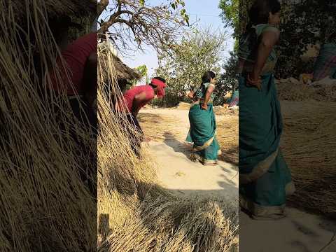 ना लाज ना सरम है |Mamtajijaunpurya # shortsvideo #Youtubeshorts #shortsfeed |