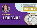Impact of AI on Labor Demand