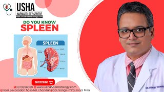 SPLEEN- THE UNTOLD STORY